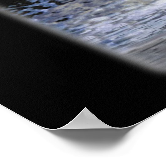 Poster Planète d'ours (Coin)