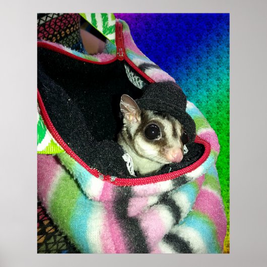 Poster Planeur à sucre portant un Casquette (Devant)