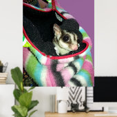 Poster Planeur à sucre portant un Casquette (Bureau à domicile)