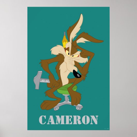 Poster Planification de WILE E. COYOTE™ (Devant)