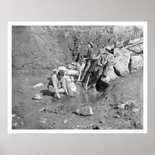 Poster Planification pour Gold Alaska 1902 (Devant)