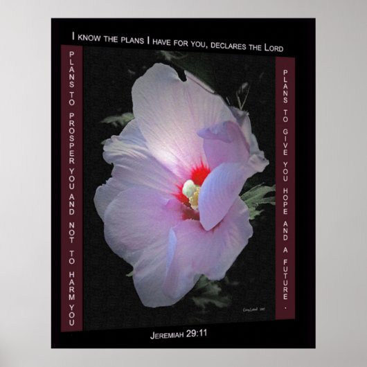 Poster plannen (Voorkant)