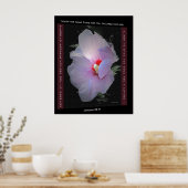 Poster Plans (Cuisine)