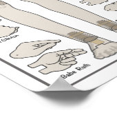 Poster Plans de construction de la marionnette (Coin)