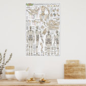 Poster Plans de construction de la marionnette (Cuisine)