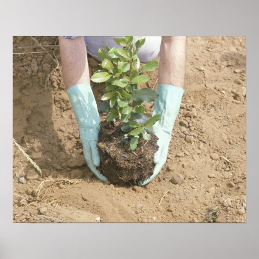 Poster Plant a Tree on Earth Day (Devant)