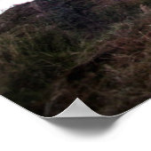 Poster Plantation (Coin)