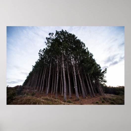 Poster Plantation (Devant)