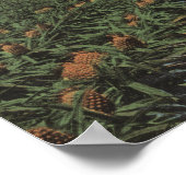 Poster Plantation d'ananas prêt pour la récolte à Florid (Coin)