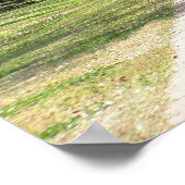 Poster Plantation de chêne (Coin)