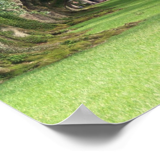 Poster Plantation de chêne (Coin)