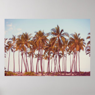 Poster plantation de palmiers