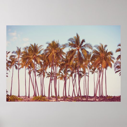 Poster plantation de palmiers (Devant)