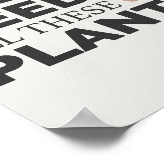 Poster Plante (Coin)