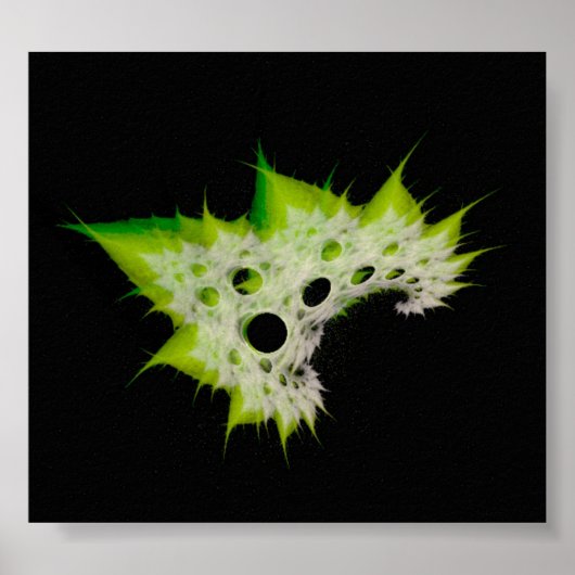 Poster Plante (Devant)