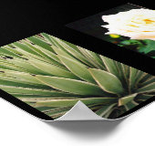 Poster Plante (Coin)