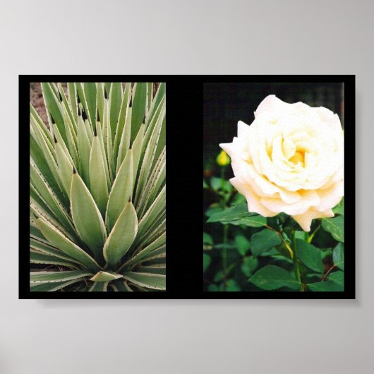 Poster Plante (Devant)