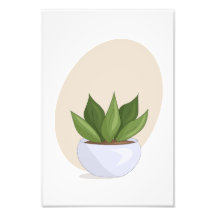 Poster plante 3 vectoriels Imprimer Mes Sims 4 CC