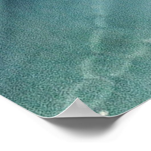 Poster Plante à feuilles vertes (Coin)