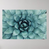 Poster Plante à feuilles vertes (Devant)