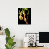 Poster Plante à piège tropicale et mouche bleue (Bureau à domicile)