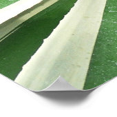 Poster Plante Agave Vert et blanc rayé (Coin)