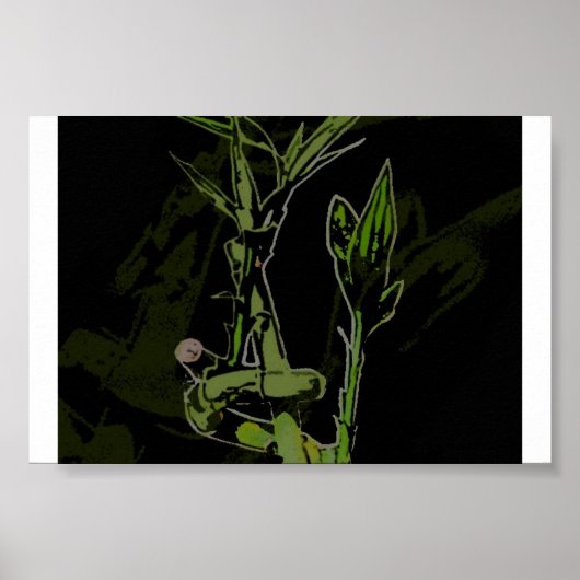 Poster Plante bambou (Devant)