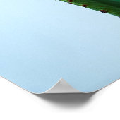 Poster Plante cactus vert en arrière - plan blanc (Coin)