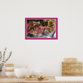 Poster Plante Coleus (Cuisine)