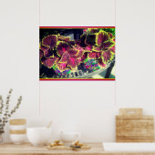 Poster Plante Coleus (Cuisine)
