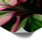 Poster Plante coloré (Coin)