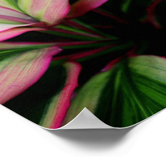 Poster Plante coloré (Coin)