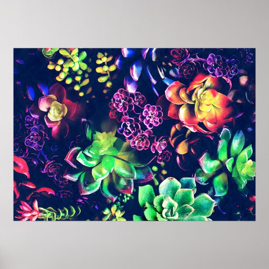 Poster Plante coloré (Devant)