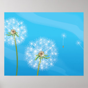 Poster Plante Dandelion