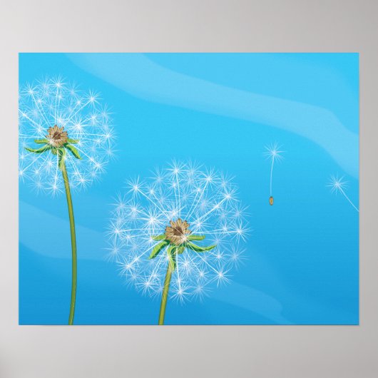 Poster Plante Dandelion (Devant)