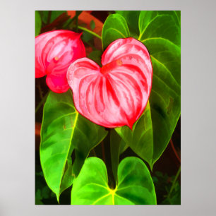 Poster Plante d'anthurium