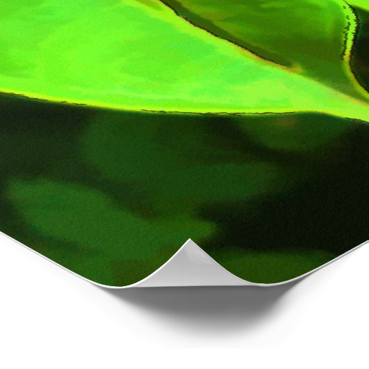 Poster Plante d'anthurium (Coin)