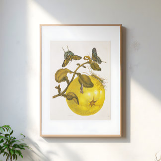 Poster Plante de citron vintage avec papillons Art jaune