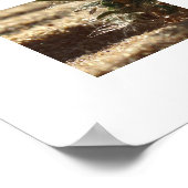 Poster Plante de désert résiliente poussant dans du sable (Coin)
