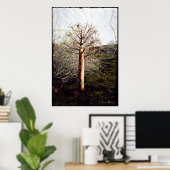 Poster Plante de Ferula sèche au Tadjikistan (Bureau à domicile)