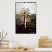 Poster Plante de Ferula sèche au Tadjikistan (Cuisine)