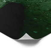 Poster Plante de feuille verte (Coin)