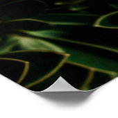 Poster Plante de feuille verte (Coin)