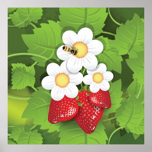 Poster Plante de fraises (Devant)