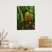 Poster Plante de gingembre Golden Beehive (Cuisine)