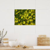 Poster Plante de glace dorée Fleurs jaunes (Cuisine)