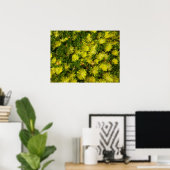 Poster Plante de glace dorée Fleurs jaunes (Bureau à domicile)