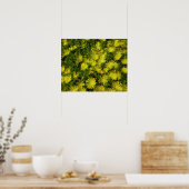 Poster Plante de glace dorée Fleurs jaunes (Cuisine)