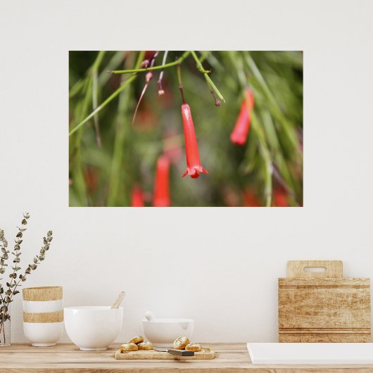 Poster Plante de panier (Cuisine)