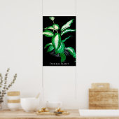 Poster Plante de Pothos (Cuisine)